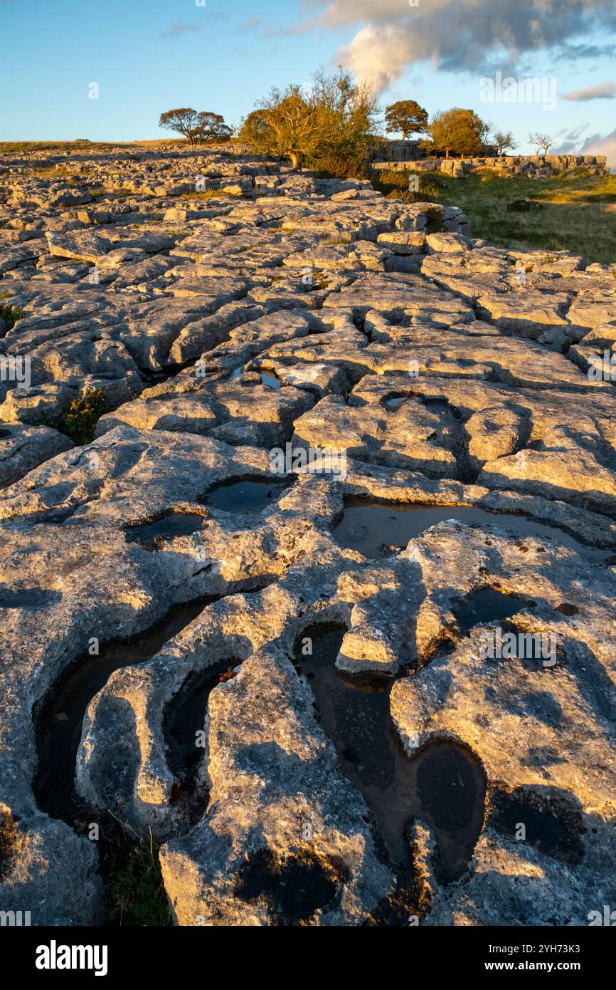 Gebiet des Kalksteinpflasters bei Newbiggin Crags in der Nähe von Burton-in-Kendal, Cumbria, England. Stockfoto