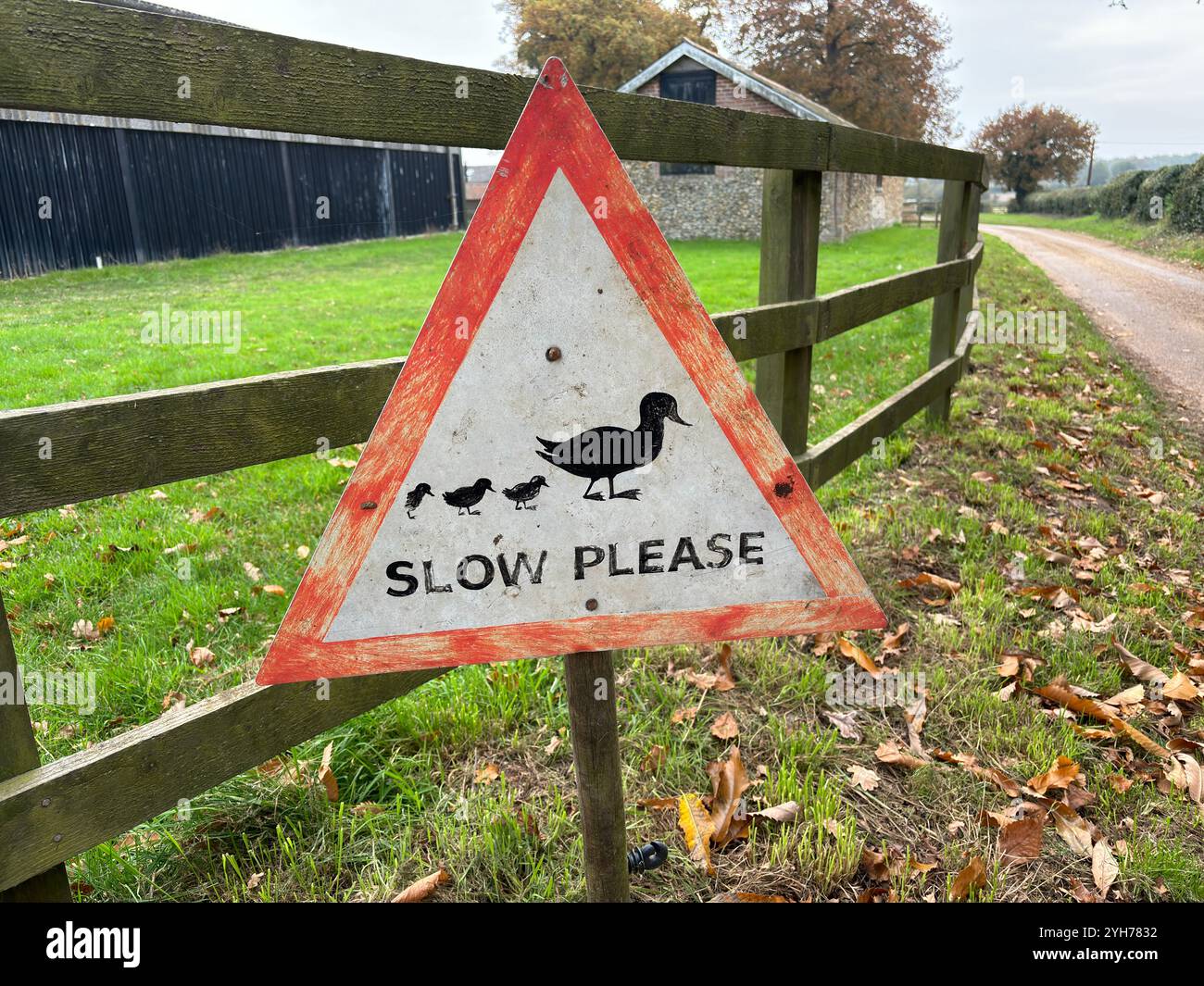 Hausgemachtes Straßenschild für Enten, die die Straße kreuzen, Sutton, Suffolk, England, Großbritannien Stockfoto