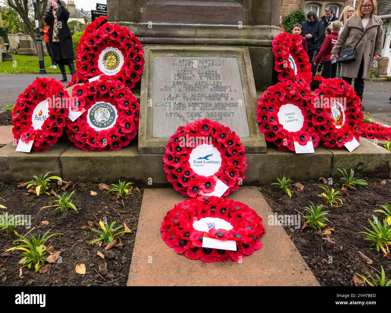 Haddington, East Lothian, Schottland, Vereinigtes Königreich, 10. November 2024. Gedenktag-Parade und Kranzverlegung: Mohnkränze am Kriegsdenkmal im Marienkirchhof. Quelle: Sally Anderson/Alamy Live News Stockfoto