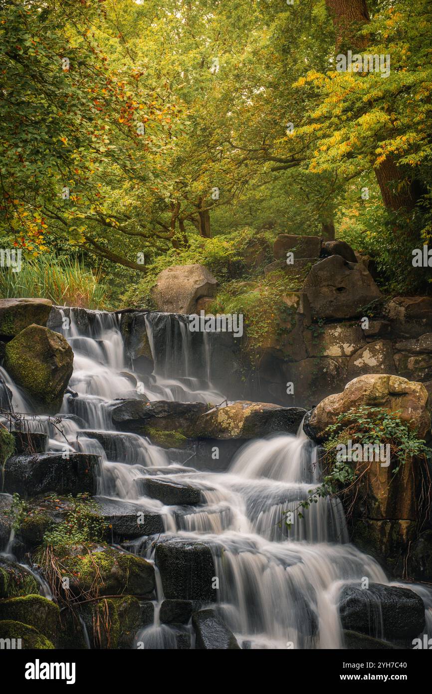 Ruhiger Wasserfall über Felsen in üppiger Waldlandschaft Stockfoto