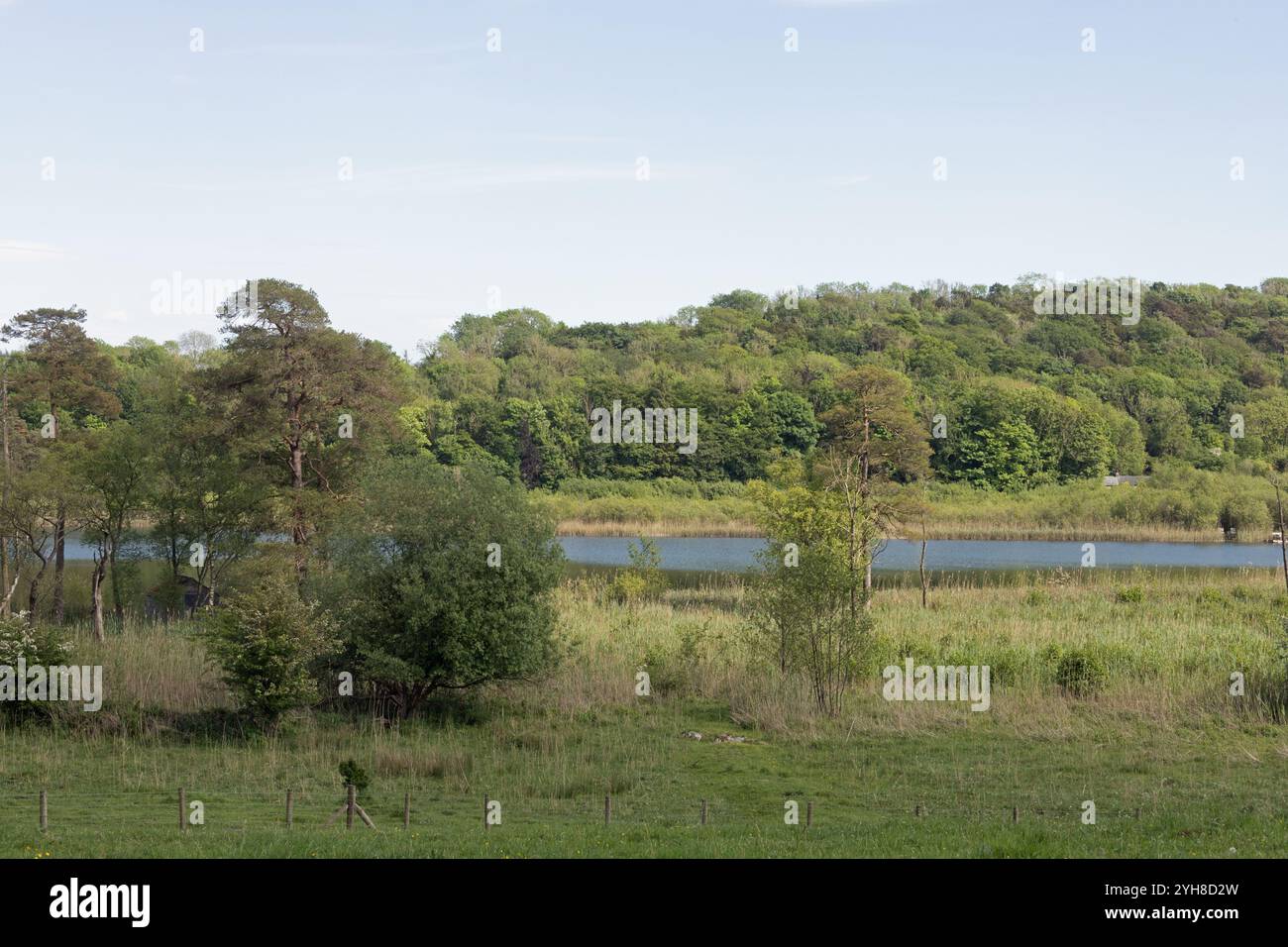 Hawes Water Arnside Westmorland und Furness, ehemals Cumbria England Stockfoto