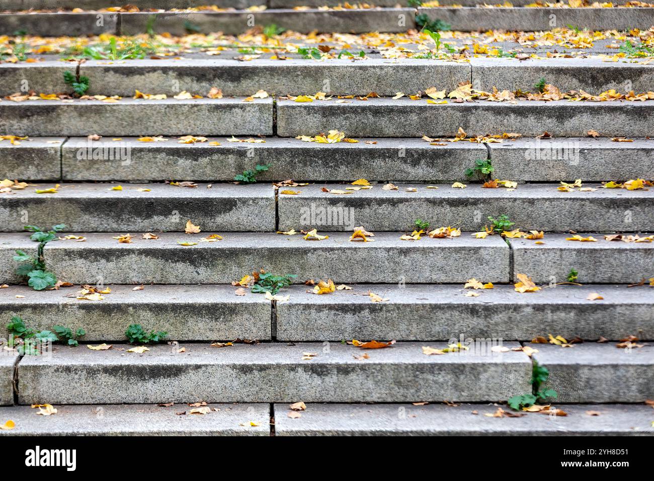 Rutschige Steintreppen, die mit Herbstlaub bedeckt sind, in einer Herbstszene im Freien Stockfoto
