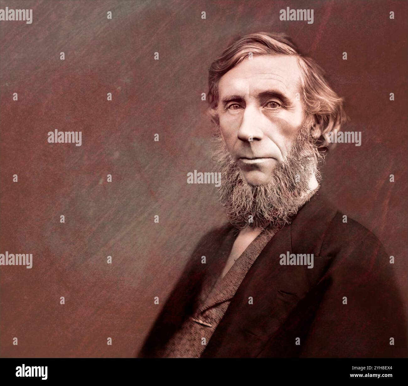 John Tyndall, 1820–1893, irischer Physiker und Chemiker, entdecker des Treibhauseffekts, digital herausgegeben Stockfoto