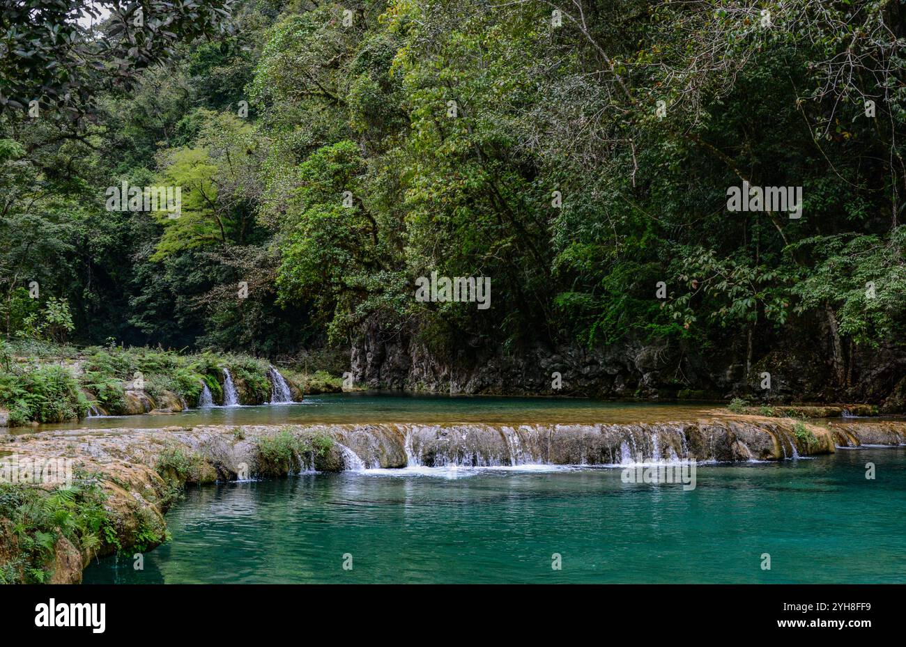 Landschaft von Semuc Champey, ein Naturdenkmal in einem dicht bewaldeten Berg von Alta Verapaz, in der Nähe der Stadt Lanquin, Guatemala mit Wasser Stockfoto