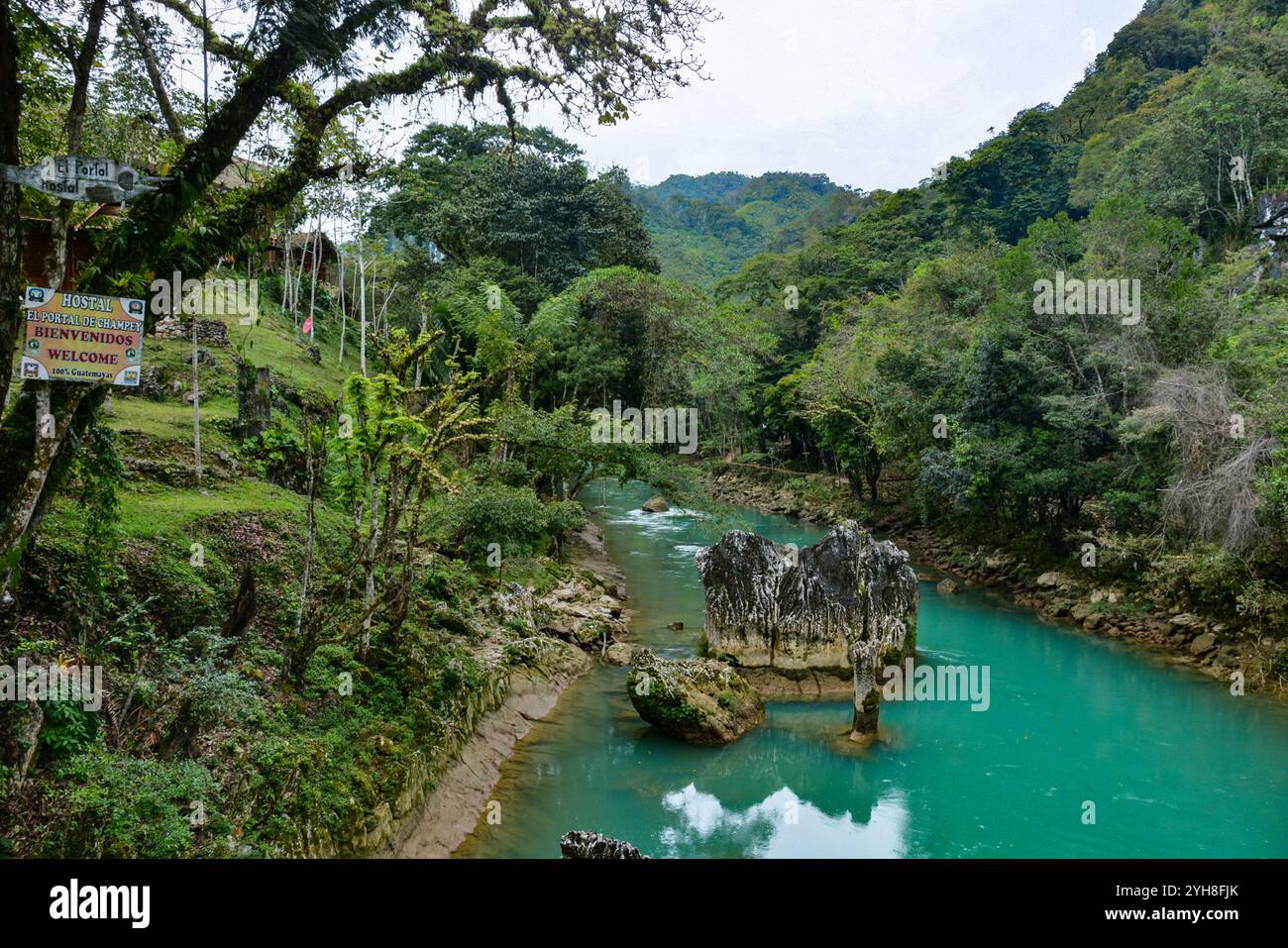 Landschaft von Semuc Champey, ein Naturdenkmal in einem dicht bewaldeten Berg von Alta Verapaz, in der Nähe der Stadt Lanquin, Guatemala. Diese nat Stockfoto