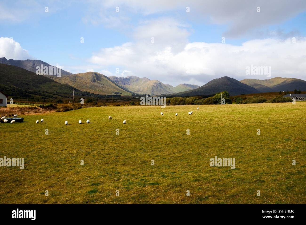 Fruchtbares Ackerland im Maam Valley joyce Country mit Maumturk-Bergen im Hintergrund, County galway, republik irland Stockfoto