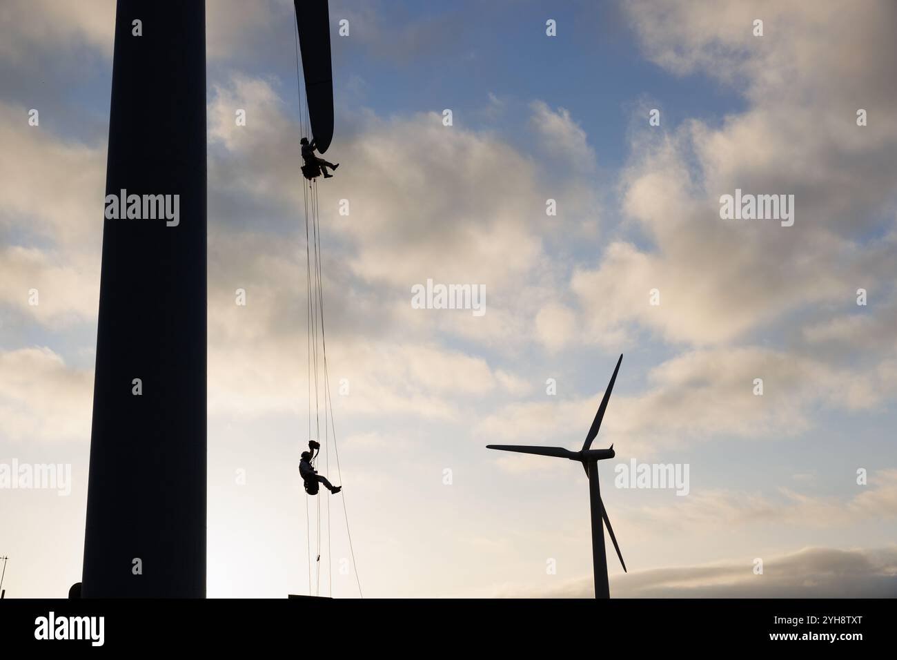 9. November 2024. Forss, Caithness, Schottland. Der Techniker Michael Parry repariert eine Windmühle auf der Forss Wind Farm in der Nähe von Thurso, Schottland. Stockfoto