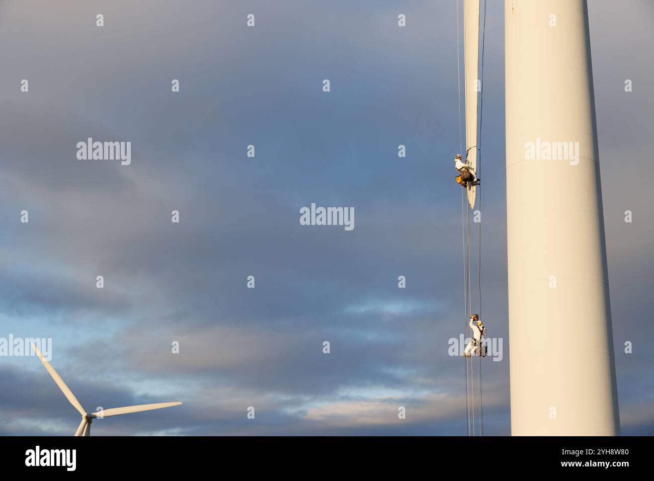 9. November 2024. Forss, Caithness, Schottland. Der Techniker Michael Parry repariert eine Windmühle auf der Forss Wind Farm in der Nähe von Thurso, Schottland. Stockfoto