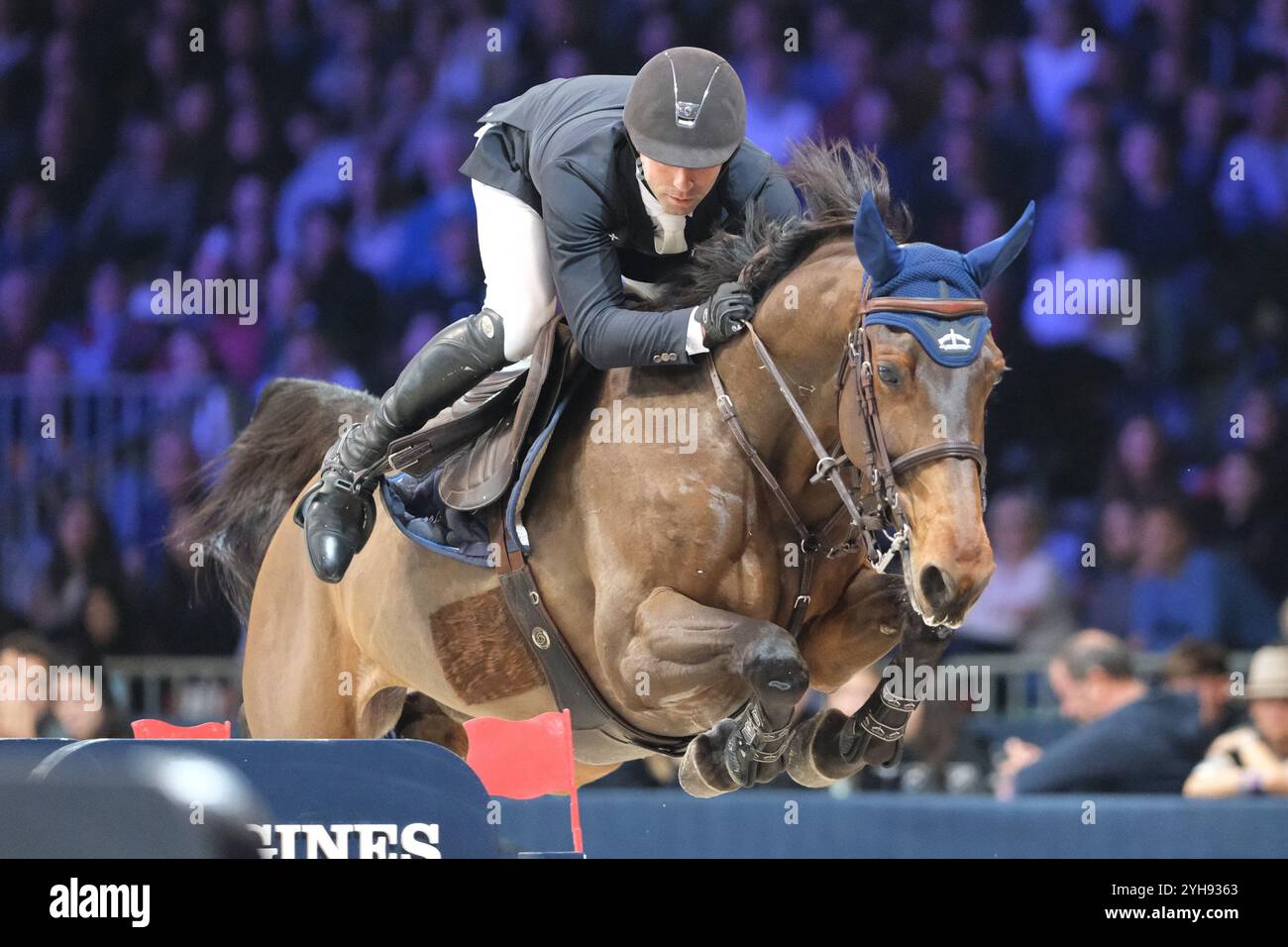 Verona, Italien. November 2024. Julien Anquetin reitet Farah Tame in Aktion während des CSI5*- W Longines FEI Jumping World Cup 2024 Gran Prix, präsentiert von KASK, im Pala Fimauto am 10. November 2024 in Verona, Italien. Quelle: Roberto Tommasini/Alamy Live News Stockfoto