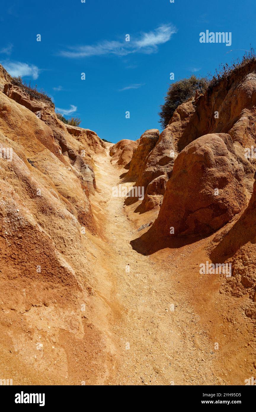 Sonnendurchfluteter Pfad, der durch markanten orangen Sandstein in Ponta da Piedade in Lagos gemeißelt wurde Stockfoto