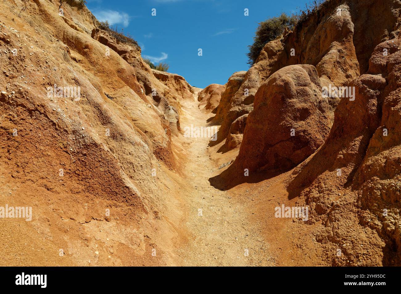 Sonnendurchfluteter Pfad, der durch markanten orangen Sandstein in Ponta da Piedade in Lagos gemeißelt wurde Stockfoto