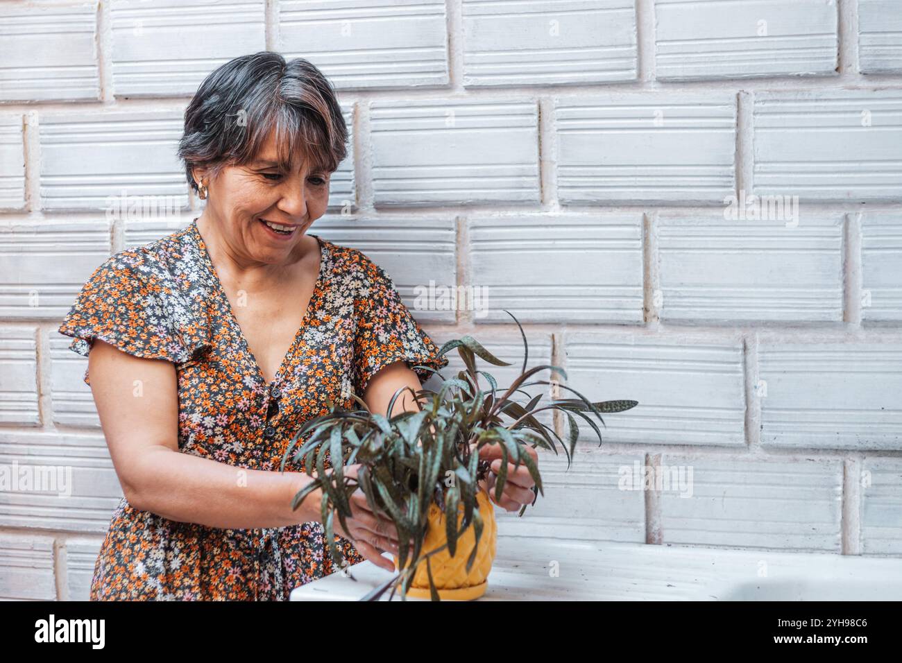Eine ältere Frau mit kurzen Haaren und einem Blumenkleid untersucht ihre Topfpflanze im Garten. Ihr Ausdruck zeigt Zufriedenheit. Stockfoto