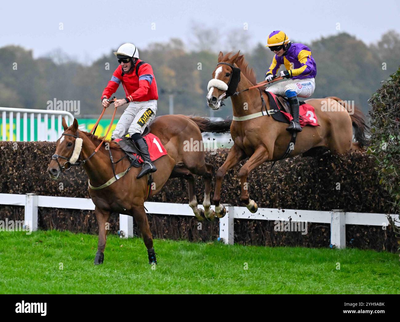 Leicester, Großbritannien. November 2024. Sicherlich ist Red Ridden von Marc Goldstein (weiße Kappe) der letzte vor Copperhead, der von Freddie Gingell geritten wurde, bevor er am 11.10.2024 in Sandown, Großbritannien, 3,25 auf der Sandown Racecourse, Leicester Picture by Paul Blake/Alamy Sports News Credit: Paul Blake/Alamy Live News gewann Stockfoto