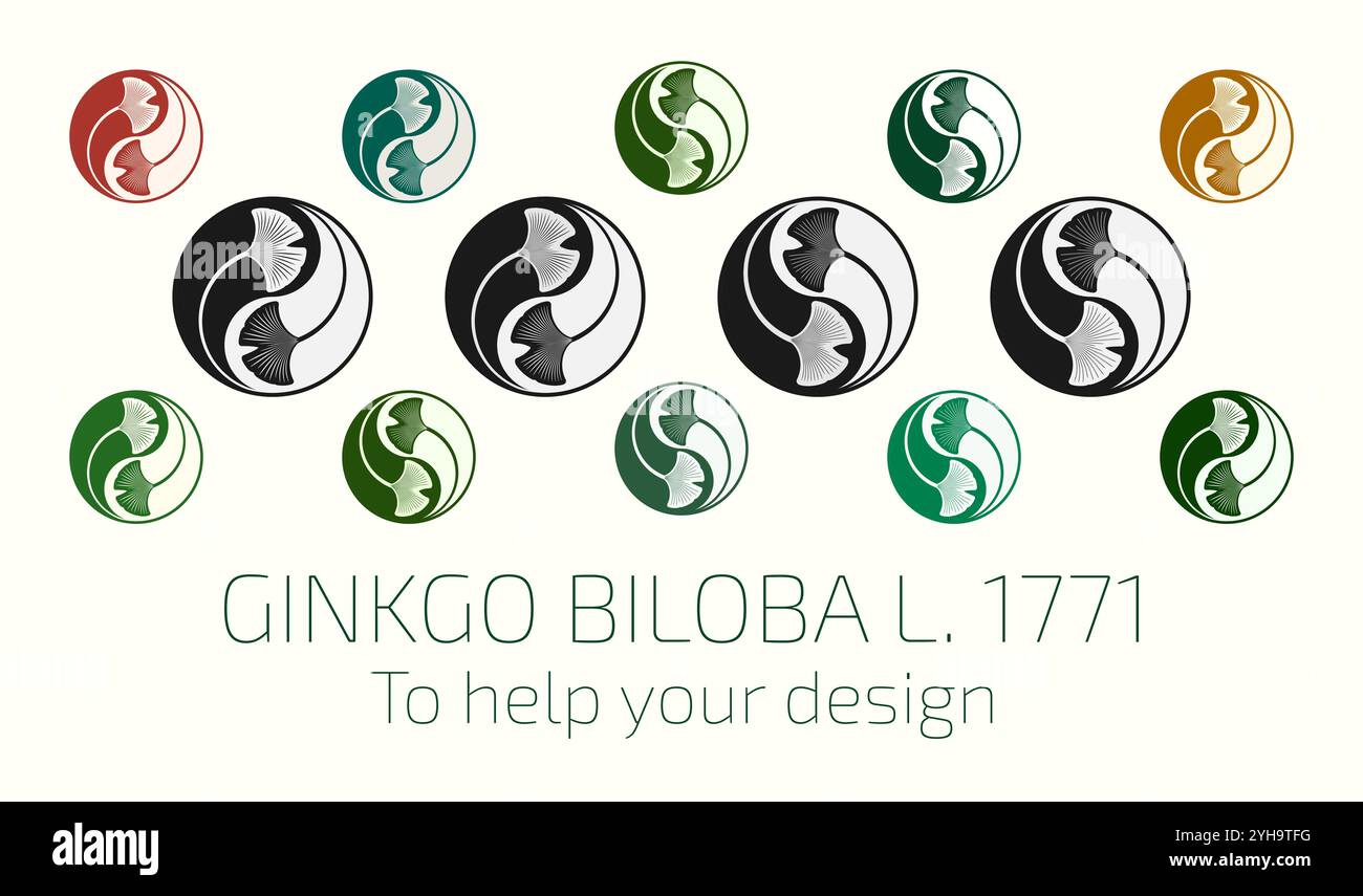 Satz von Vektorillustrationen von Ginkgo biloba-Blättern mit heiliger Geometrie-Methode im Yin Yang-Stil. Hilfe für den Konstrukteur. Stock Vektor