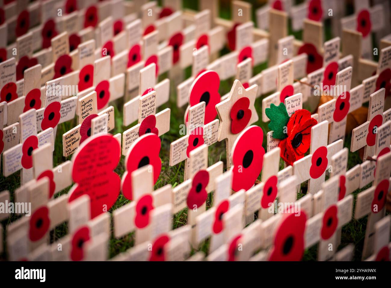 London, Großbritannien. November 2024. Während der Cenotaph Parade 2024 am Gedenktag in der Westminster Abbey wird ein Denkmal mit Mohn und kleinen Kreuzen ausgestellt. Am Sonntag, den 10. November, fand der National Service of Remembrance im Cenotaph in Whitehall, London, statt. Ab 11:00 Uhr gedachte der Gottesdienst an den Beitrag der britischen und Commonwealth-Militär- und Zivilsoldaten und Frauen, die an den beiden Weltkriegen und späteren Konflikten beteiligt waren. (Credit Image: © Loredana Sangiuliano/SOPA Images via ZUMA Press Wire) NUR REDAKTIONELLE VERWENDUNG! Nicht für kommerzielle ZWECKE! Stockfoto