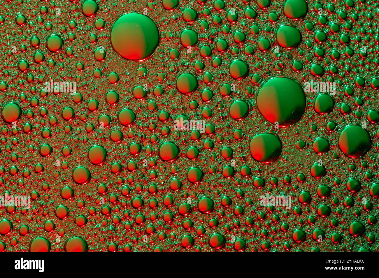 Zelluläre Bilder mit einem Hauch von Weihnachten Stockfoto
