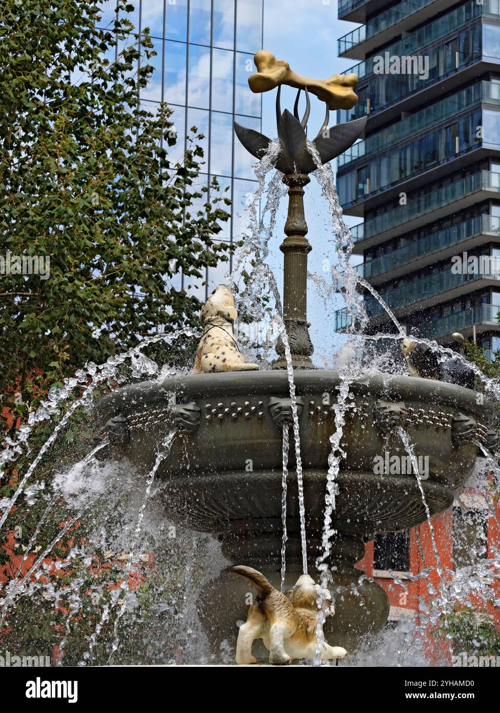 Toronto Kanada / der sehr beliebte Berczy Park Dog Fountain in Toronto. Stockfoto