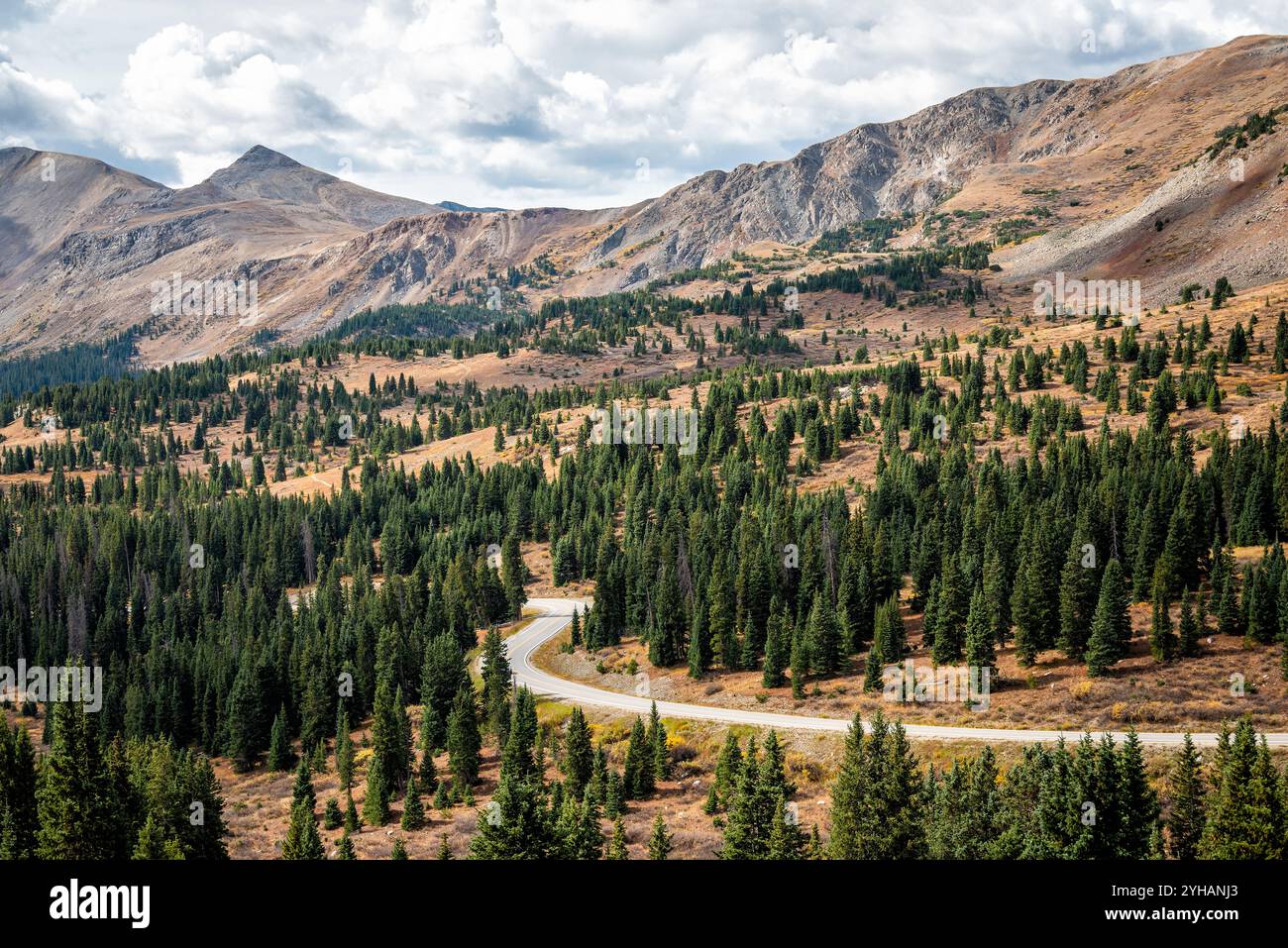 Der Cottonwood Pass, Colorado überblickt im Herbst den immergrünen Fichtenwald über die County Road 742 Highway Stockfoto