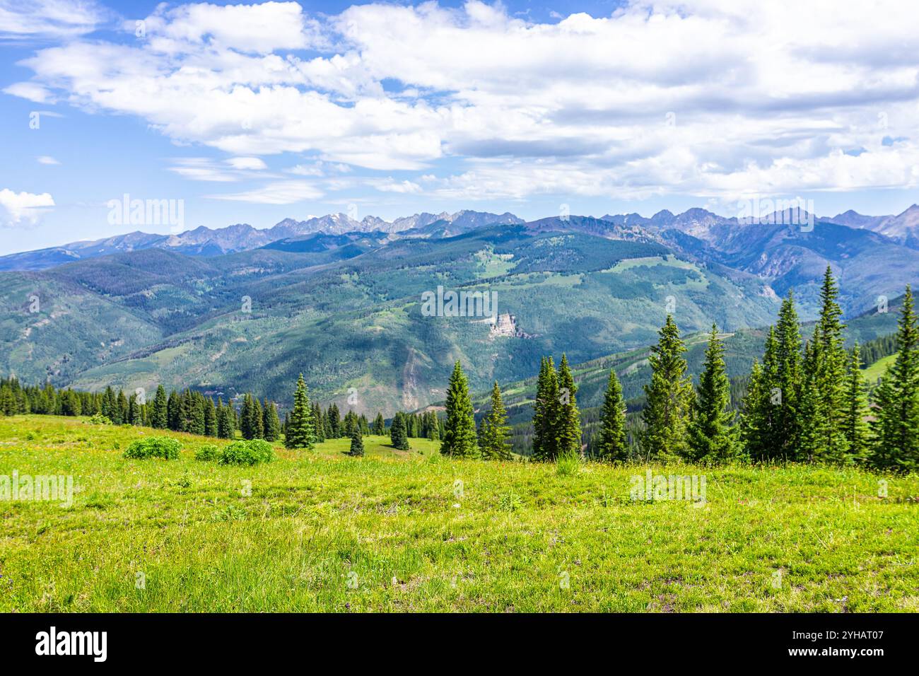 Vail Sommer in einem Skigebiet mit Wanderwegen in Colorado, Berggipfeln, einem Berg von heiligem Kreuz Wildnis und Gras über Wiesen Skipisten Stockfoto