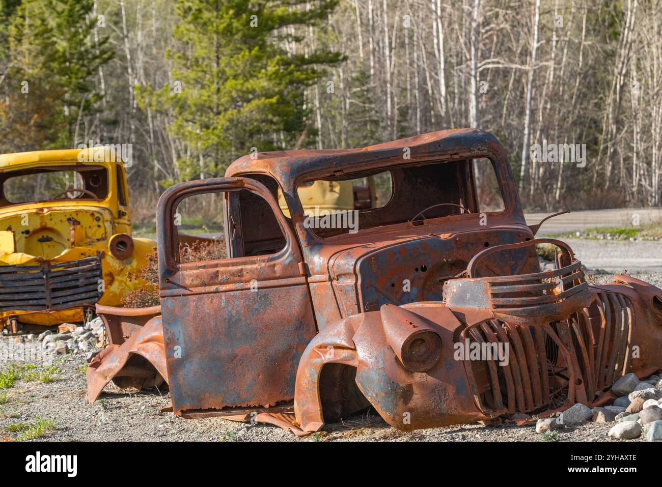 Rostige verlassene alte Trucks in Vintage-Motiven mit borealem Wald und schneebedeckten Bergen im Hintergrund. Aufgenommen in Yukon, Kanada. Stockfoto