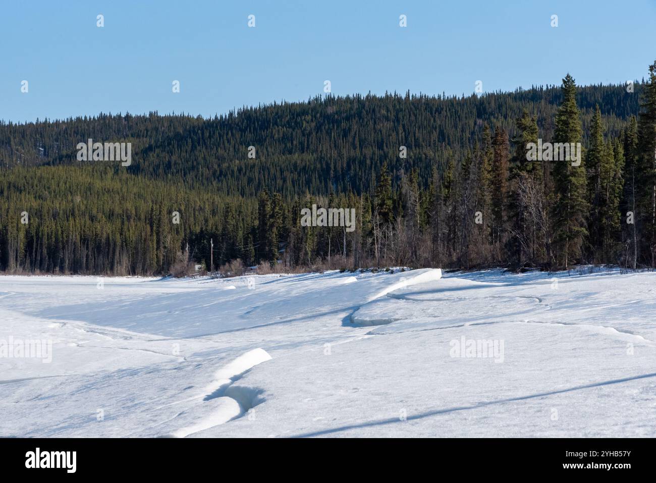 Blick auf den schmelzenden und tauenden Yukon River außerhalb von Whitehorse im Yukon Territory. Aufgenommen im April mit borealem Waldhintergrund Stockfoto