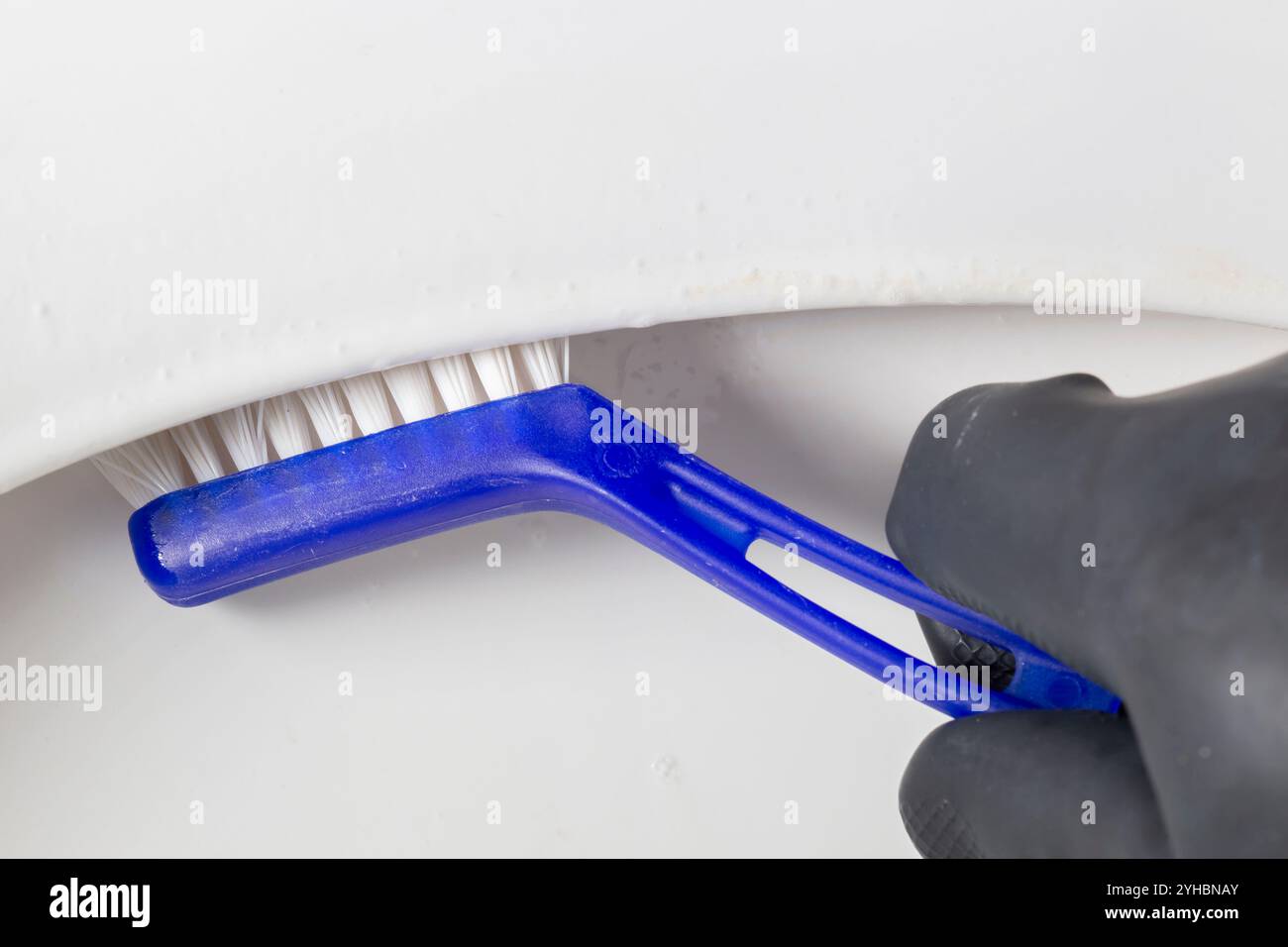 Person mit schwarzem Gummihandschuh, Reinigung der Toilette mit einer Scheuerbürste. Hausarbeit-Chore-Konzept. Stockfoto