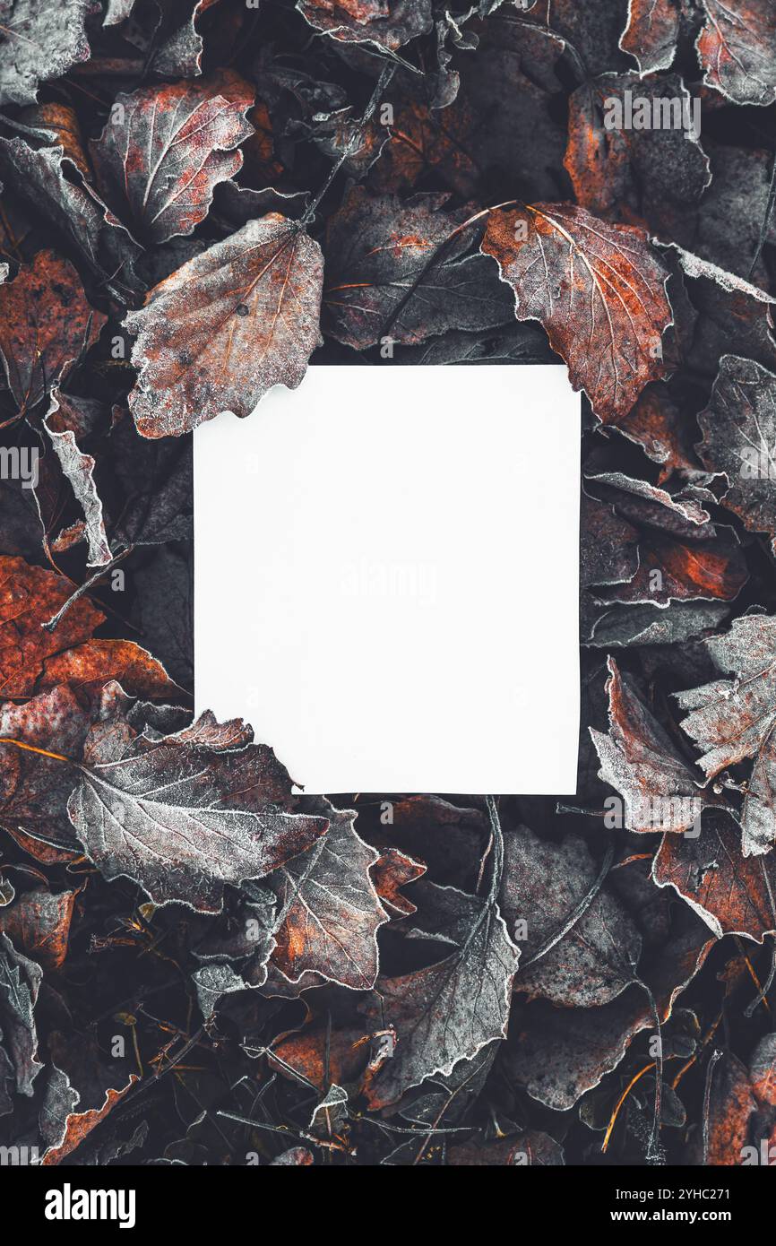 Leeres Notizpapier über dem trockenen toten Herbst hinterlässt Textur als Post-Design-Element in sozialen Medien, Draufsicht Stockfoto