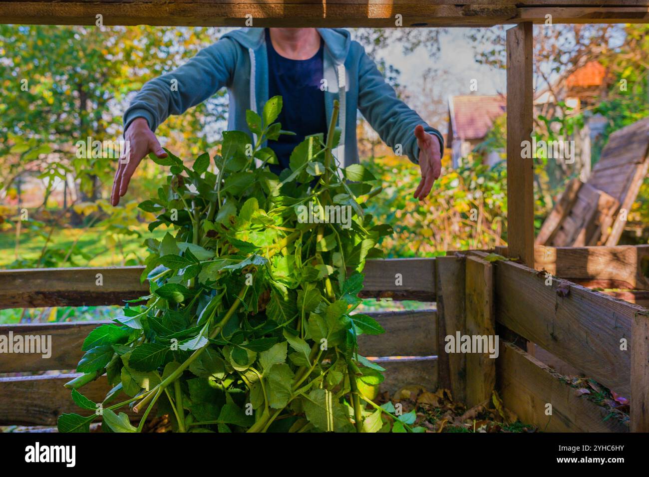 Kompostierung und nachhaltiger ökologischer Gartenbau. Gärtnerin, die Pflanzenabfälle aus grünem Garten in einen selbstgebauten Gartenkompostierkorb bringt. Recycling von Biowast Stockfoto