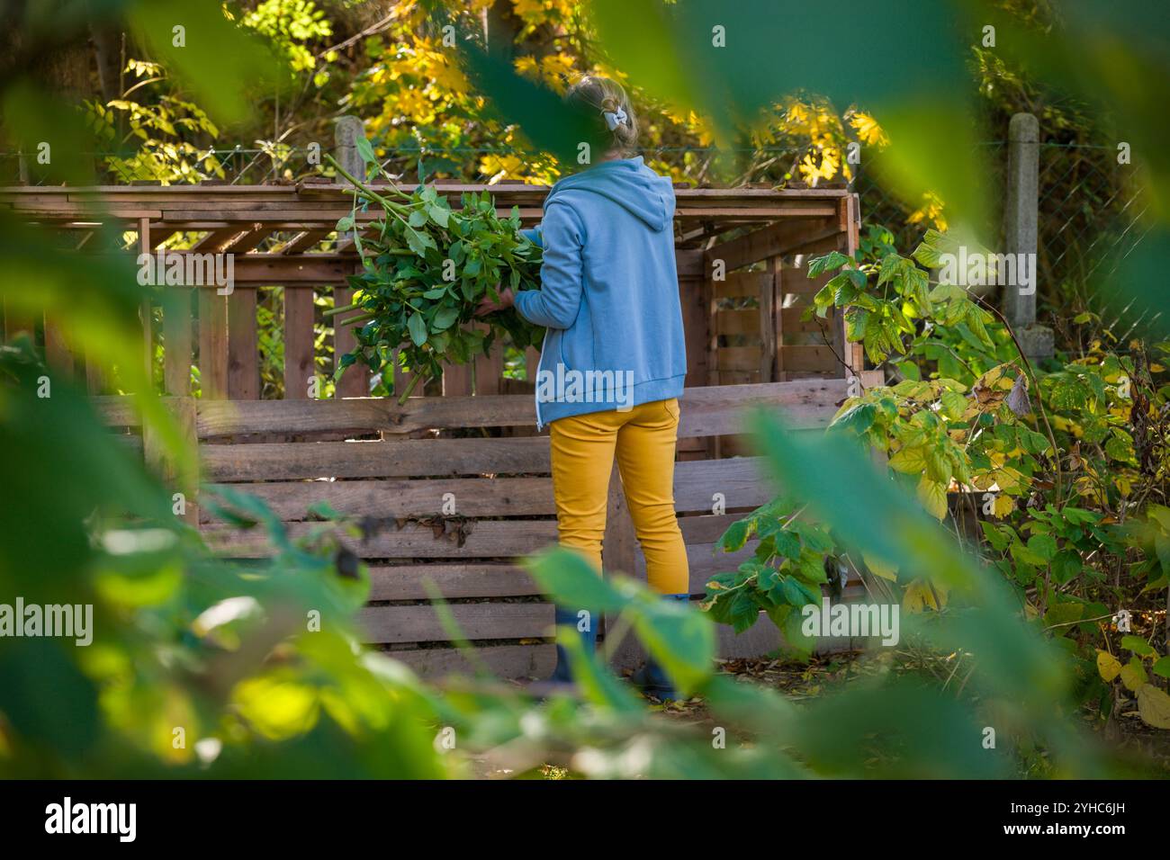 Kompostierung und nachhaltiger ökologischer Gartenbau. Gärtnerin, die Pflanzenabfälle aus grünem Garten in einen selbstgebauten Gartenkompostierkorb bringt. Recycling von Biowast Stockfoto