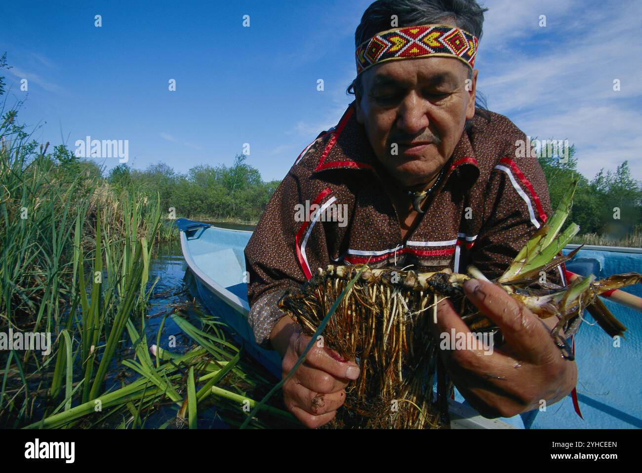 Traditionelle Arzneimittel, Kanada Stockfoto