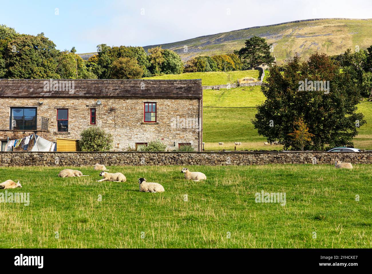 Hardraw, Wensleydale, Yorkshire Dales, Yorkshire, Vereinigtes Königreich, England, Weiler, Weiler, Dorf, Hardraw vereinigtes königreich, Hardraw England, Hardraw Dorf, Häuser, Bauernhof, Stockfoto