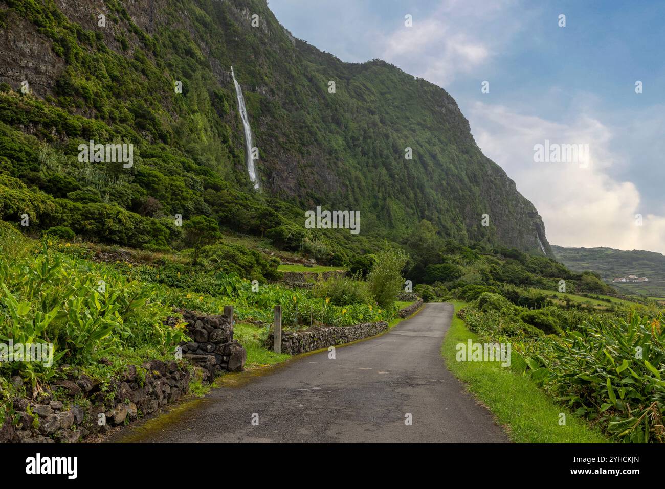 Einer von vielen Wasserfällen in Faja Grande, Flores Island, Azoren. Stockfoto