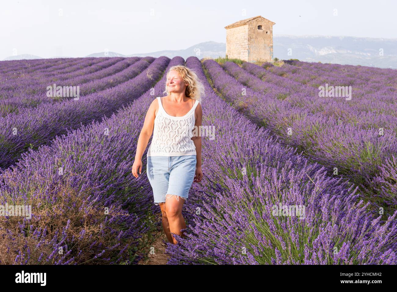 Junge lächelnde blonde Frau, die einen Spaziergang in Lavendelblumenreihen mit dem alten traditionellen Bauernhaus aus Stein während des Sonnenuntergangs in Valensole Fields i genießt Stockfoto