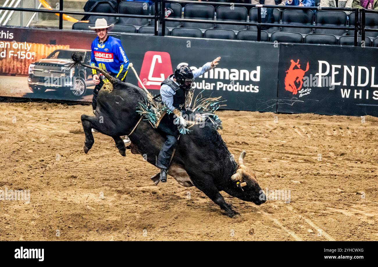 Tanner Eno an Bord von „Purple People Eater“ nimmt die erste Fahrt in Runde 3 für volle 8 Sekunden und erzielt 78,25 Punkte bei den Professional Bull Riding Canadian National Championships in Edmonton am Rogers Place. Nick Tetz wird nur der fünfte mehrfache Gewinner des PBR Canada National Championships Titels und mit diesem Sieg beendete er sein spektakuläres Jahr, indem er in den letzten zwei Tagen insgesamt $153.375auf Rogers Platz in Edmonton gewann und 2024 zum PBR Canada Bull Rider of the Year wurde. Stockfoto