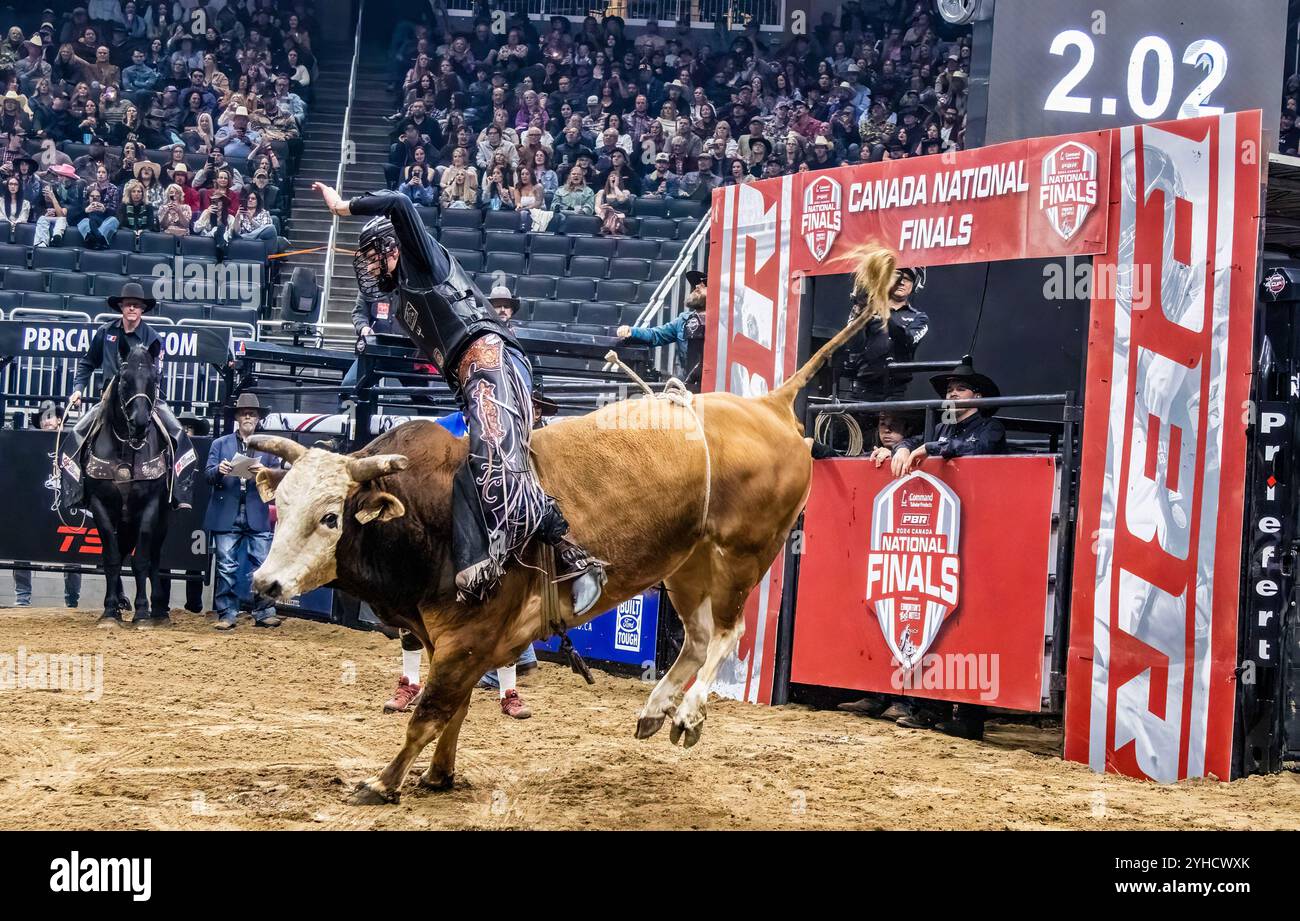 Tyler Craig an Bord des „Highway to Heaven“ wird in der dritten Runde der Professional Bull Riding Canadian National Championships in Edmonton am Rogers Place abgeschlagen. Nick Tetz wird nur der fünfte mehrfache Gewinner des PBR Canada National Championships Titels und mit diesem Sieg beendete er sein spektakuläres Jahr, indem er in den letzten zwei Tagen insgesamt $153.375auf Rogers Platz in Edmonton gewann und 2024 zum PBR Canada Bull Rider of the Year wurde. Stockfoto