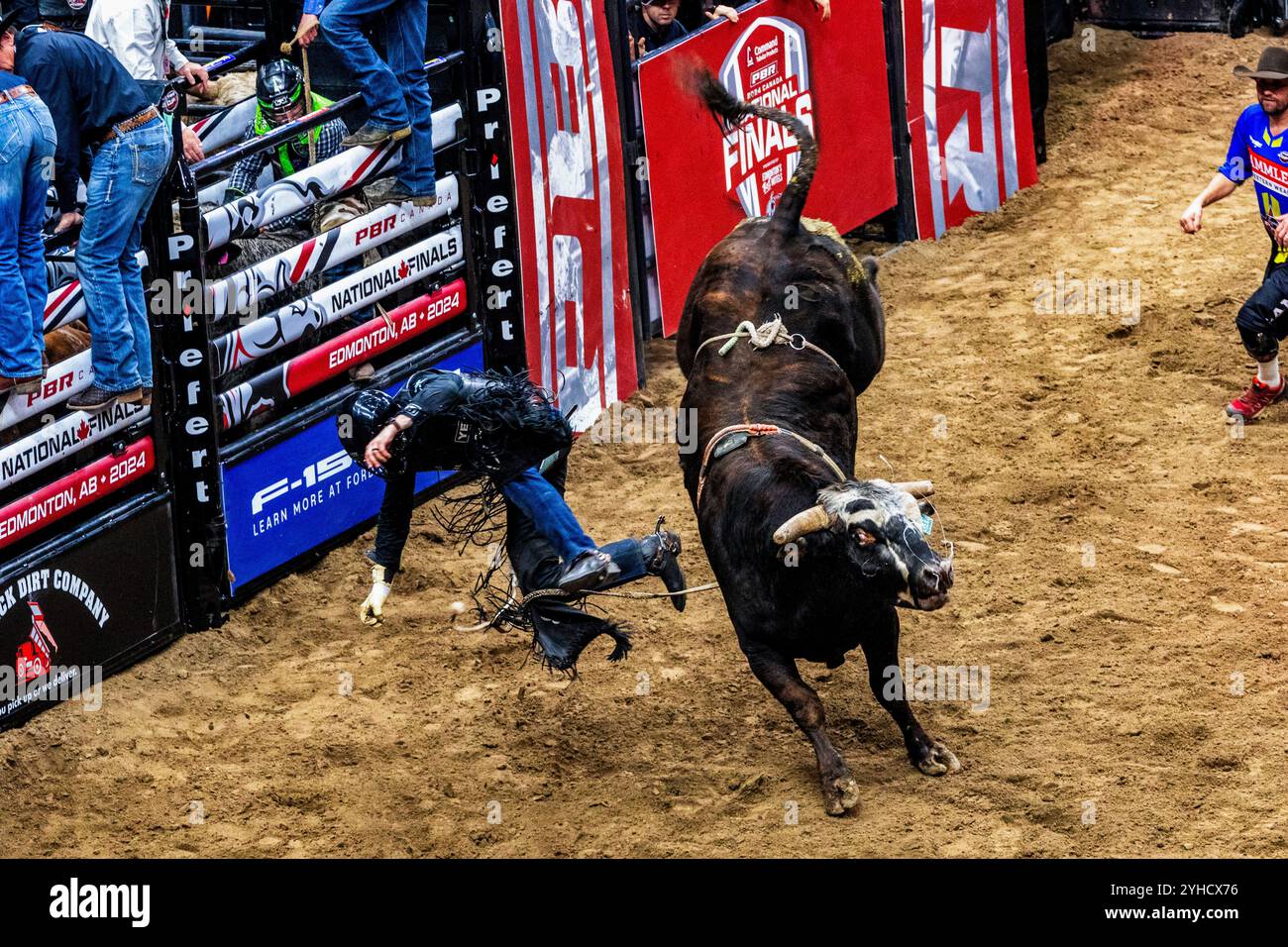 Cody Teel an Bord von „Halos Iron Side“ erhält 65,75 Punkte für seine Fahrt in der dritten Runde der Professional Bull Riding Canadian National Championships in Edmonton am Rogers Place. Nick Tetz wird nur der fünfte mehrfache Gewinner des PBR Canada National Championships Titels und mit diesem Sieg beendete er sein spektakuläres Jahr, indem er in den letzten zwei Tagen insgesamt $153.375auf Rogers Platz in Edmonton gewann und 2024 zum PBR Canada Bull Rider of the Year wurde. Stockfoto