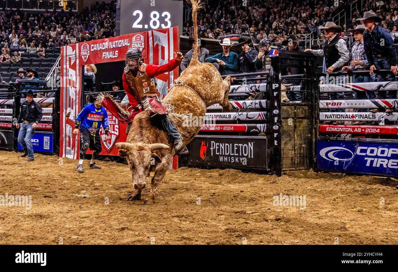 Jake Gardner an Bord von „Superstition“ wird in der dritten Runde der Professional Bull Riding Canadian National Championships in Edmonton am Rogers Place abgeschlagen. Nick Tetz wird nur der fünfte mehrfache Gewinner des PBR Canada National Championships Titels und mit diesem Sieg beendete er sein spektakuläres Jahr, indem er in den letzten zwei Tagen insgesamt $153.375auf Rogers Platz in Edmonton gewann und 2024 zum PBR Canada Bull Rider of the Year wurde. (Foto: Ron Palmer / SOPA Images/SIPA USA) Stockfoto