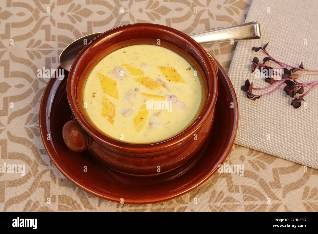 Schwäbische Küche, Hirnsuppe mit Eiergarnitur, Innereien, Kalbhirn, regional, Suppe in einer Schüssel serviert, Hausmannskost, typisch schwäbische, traditionelle Küche Stockfoto