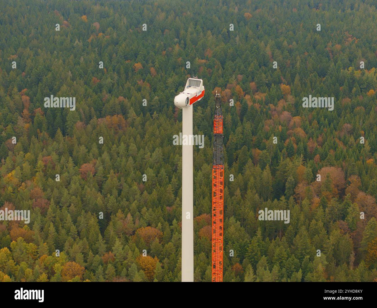 Nahaufnahme eines Krans und einer Windturbine im Herbstwald, Windparkbaustelle, Groembach, Schwarzwald, Deutschland, Europa Stockfoto