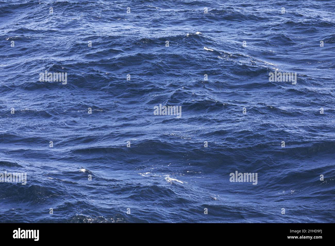 Wasseroberfläche mit Wellen auf dem atlantischen Ozean mit starkem Wind und bewegtem Meer, Hintergrund Wasseroberfläche mit mäßigen Wellen auf dem atlantischen Ozean mit Stockfoto