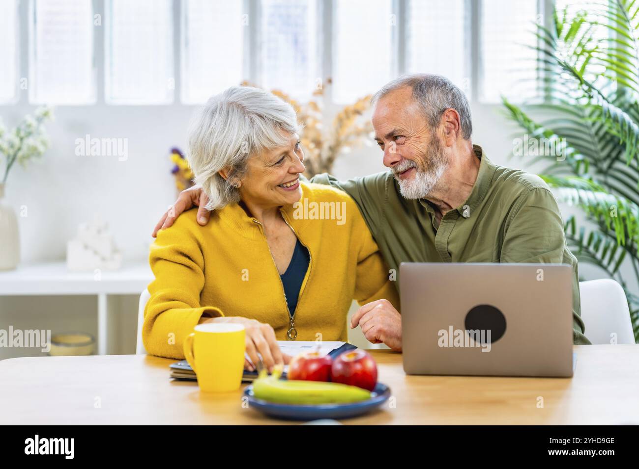 Seniorenpaar feiert gute Nachrichten über das Haushaltsbudget, sitzt im Wohnzimmer mit Laptop Stockfoto