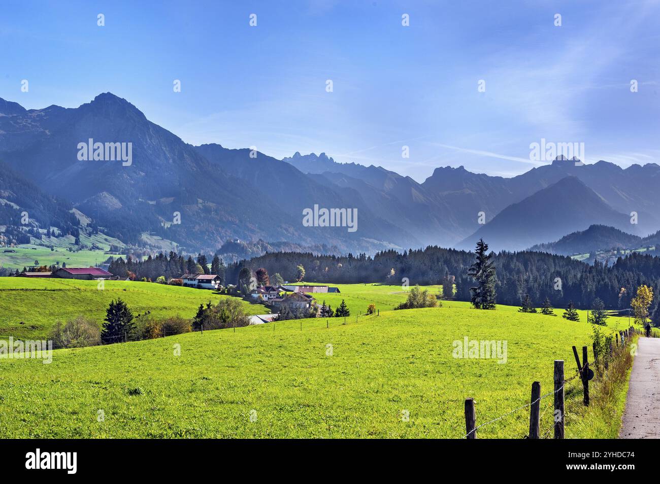 Grüne Wiesen, Allgäuer Alpen und Wälder bei Ofterschwang, Allgäuer, Bayern, Deutschland, Europa Stockfoto