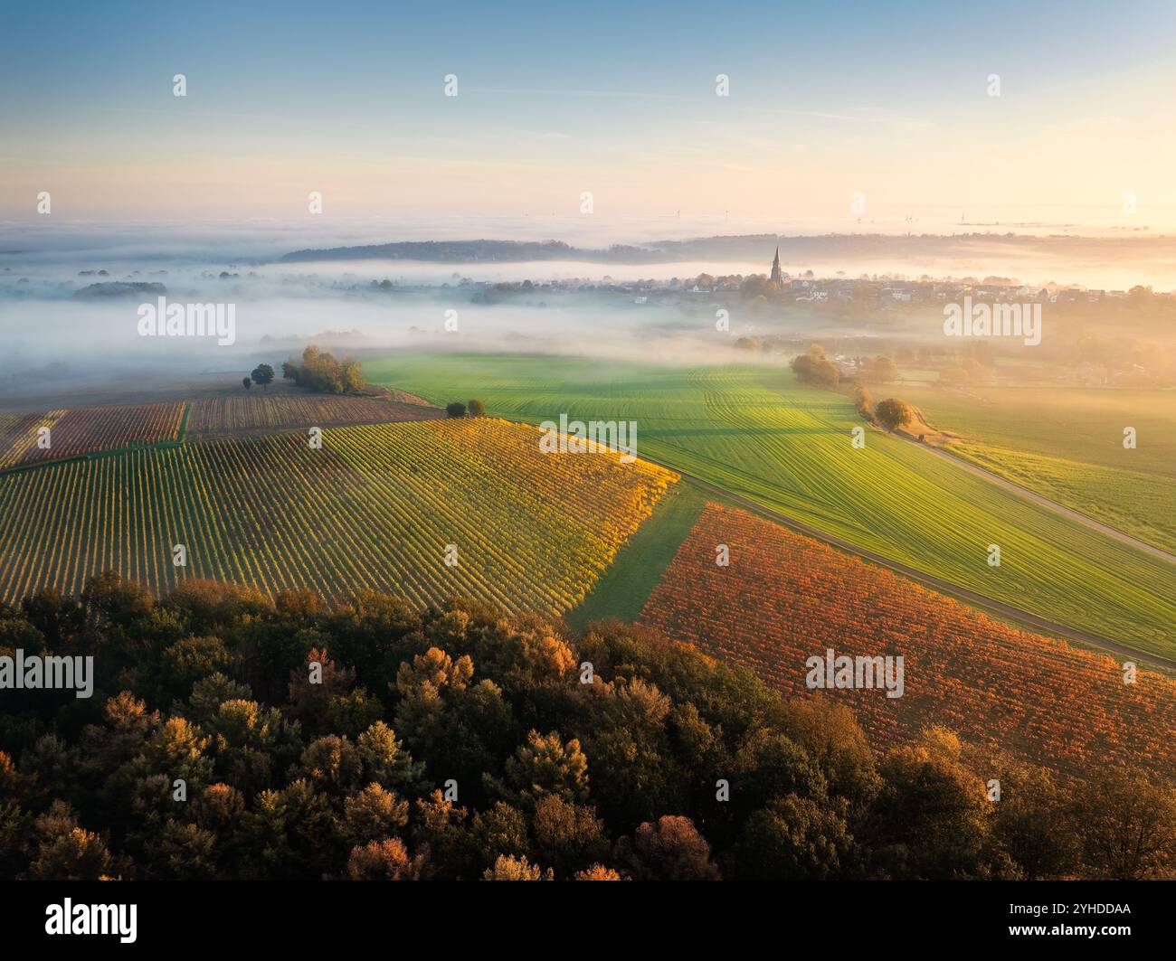 Drohnenblick auf Golden Sunrise über Nebelfelder und Weinberge in Süd-Limburg in den Niederlanden Stockfoto
