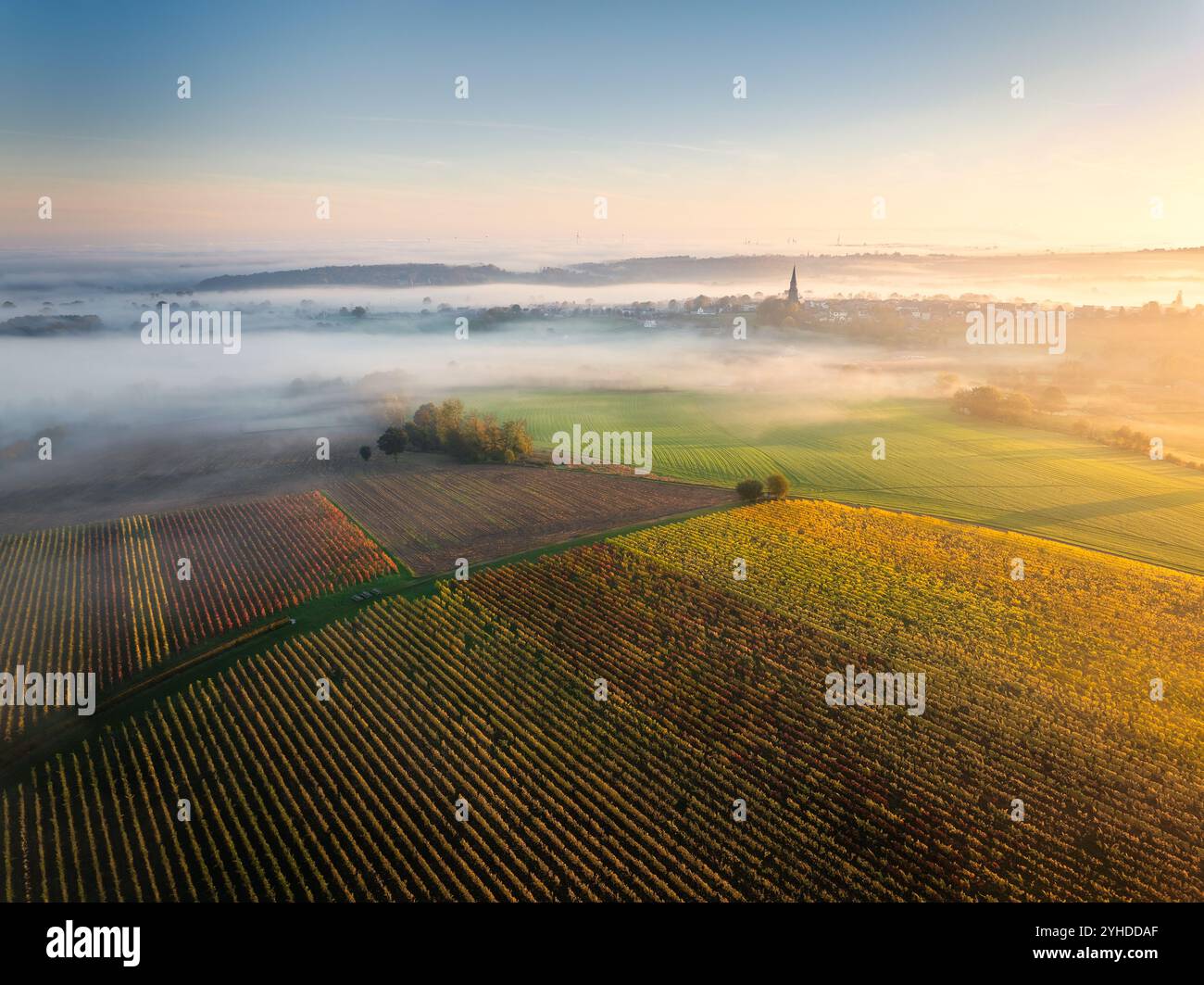 Blick aus der Vogelperspektive auf den Sonnenaufgang von Foggy über Weinbergen in South Limburg, Niederlande Stockfoto