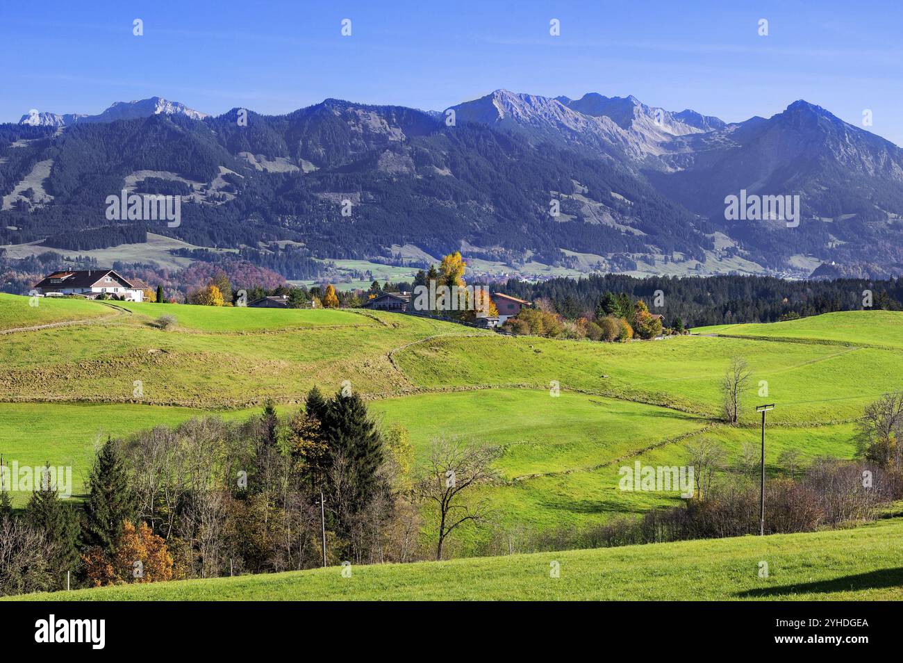 Grüne Wiesen, Allgäuer Voralpen und Mischwald bei Ofterschwang, Allgäuer, Bayern, Deutschland, Europa Stockfoto