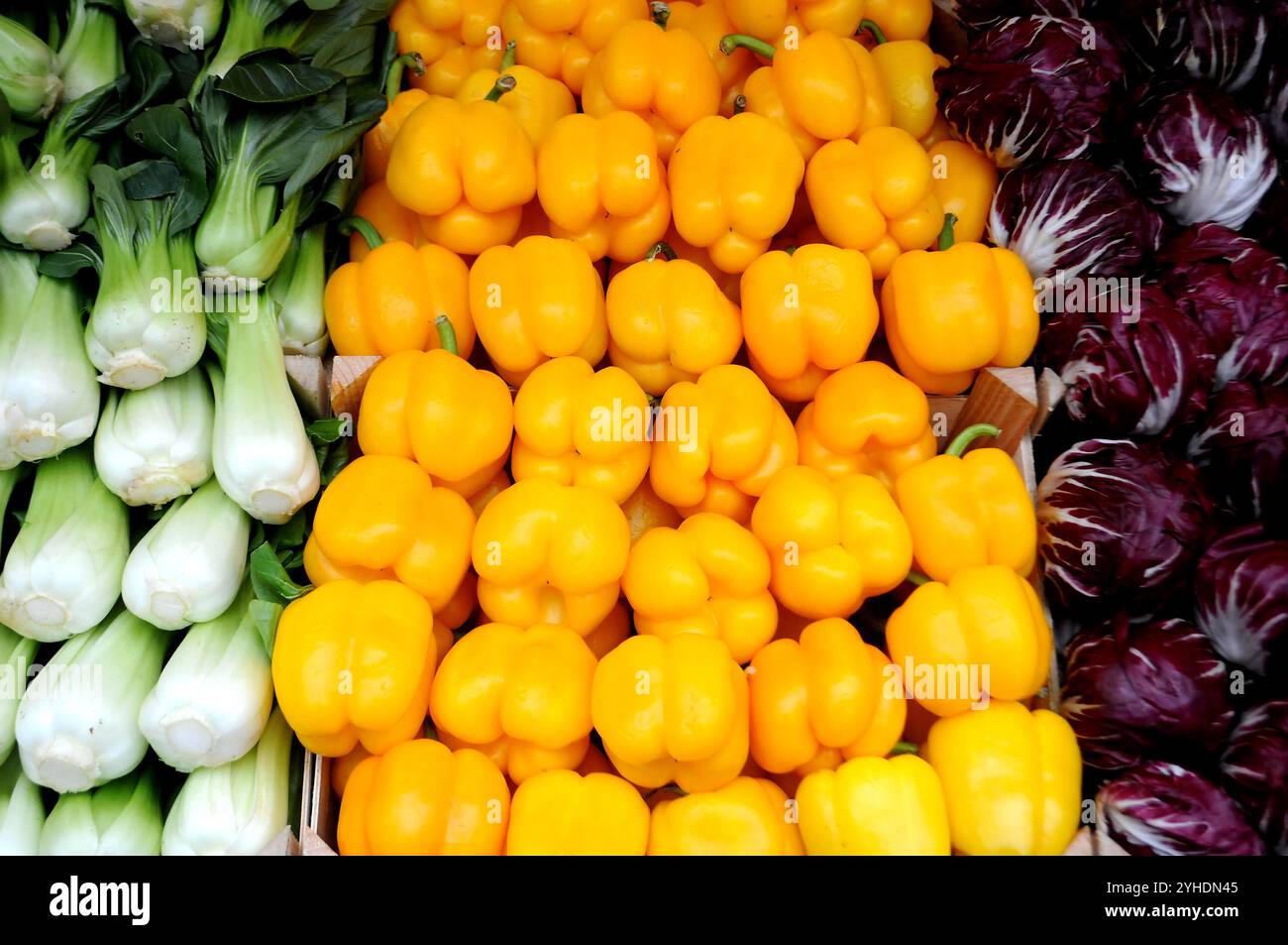 Kopenhagen/Dänemark/12 Nov. 2024/ Käufer bei Obst- und Gemüseverkäufern in der Torvehalleerne in der dänischen Hauptstadt. (Foto. Francis Joseph Dean/Dean Pictures) (nicht für kommerzielle Zwecke) Stockfoto