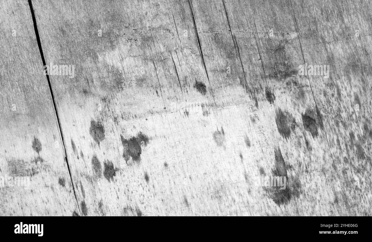 Alte graue, grungy Sperrholzplatte, schwarz-weiße Hintergrundfotostruktur Stockfoto