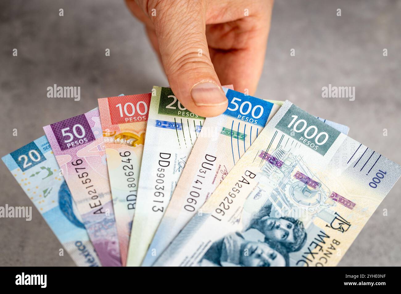 Geld aus Mexiko. Hand greift nach Geld. Grauer Hintergrund, flach, finanzieller Hintergrund, mexikanischer Peso, finanzielles Geschäftskonzept, Nahaufnahme Stockfoto