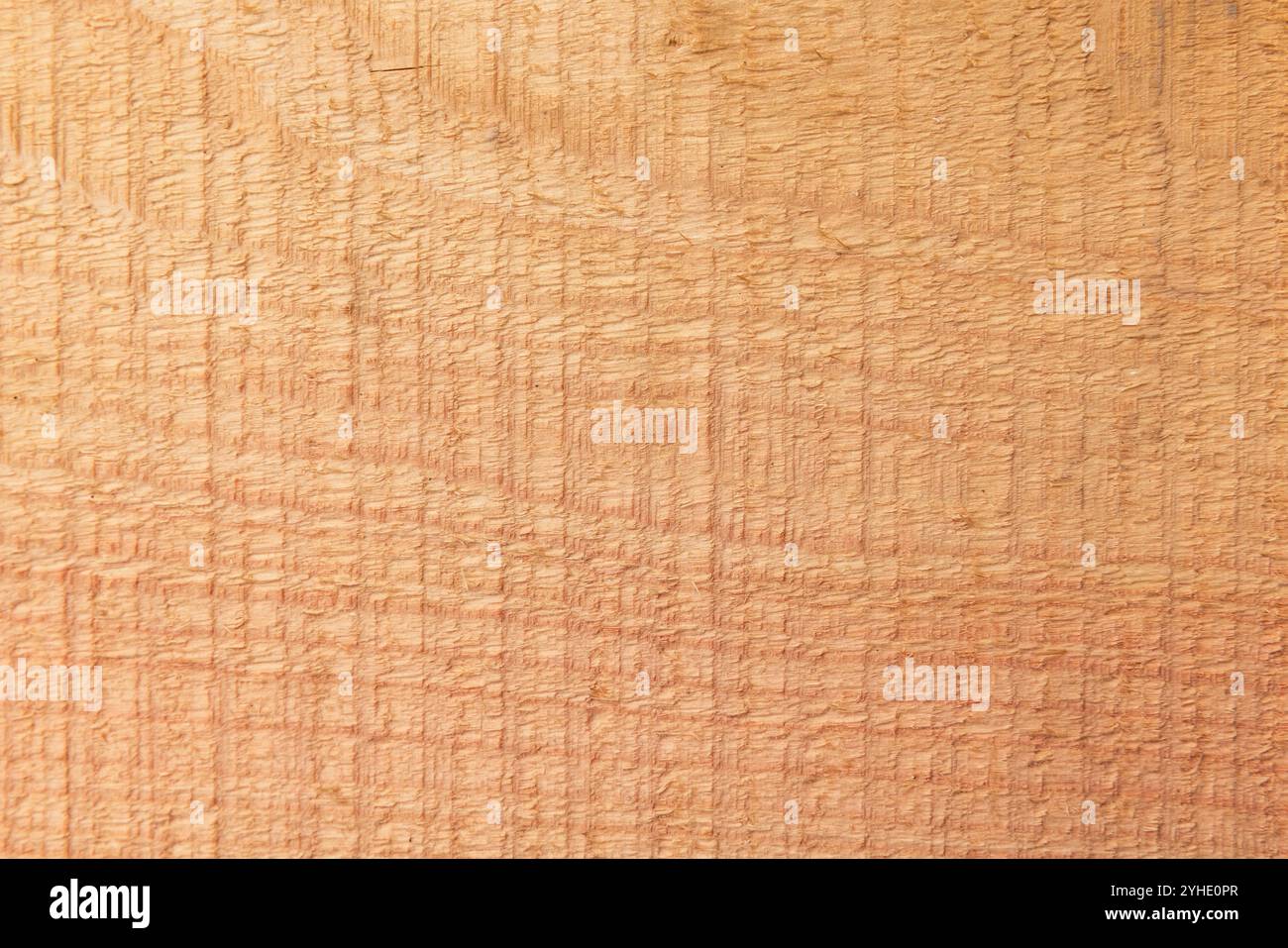 Grungy ungefärbte Naturholzplatte, Nahaufnahme Hintergrundfotostruktur, Vorderansicht Stockfoto