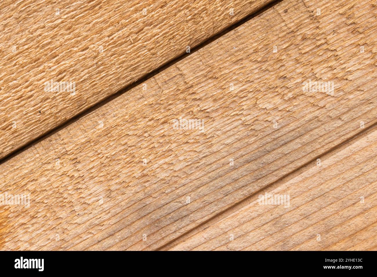 Grungy-Wand aus Kiefernholzplatten, flache Hintergrundfotostruktur Stockfoto